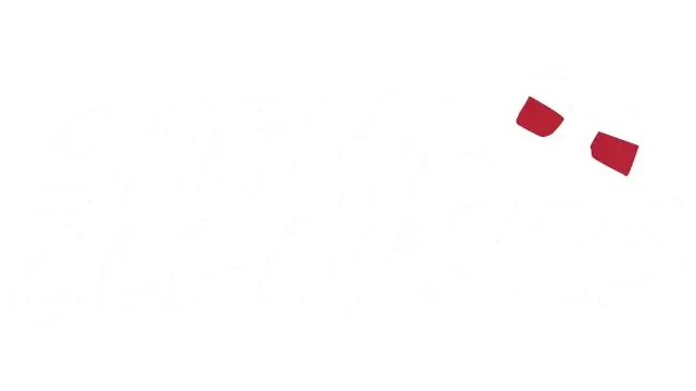 连环清道夫 | Serial Cleaners | 好玩