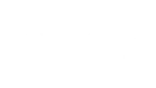 鸟的故事 | A Bird Story