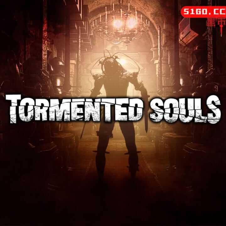 受折磨的灵魂 | Tormented Souls-好玩客