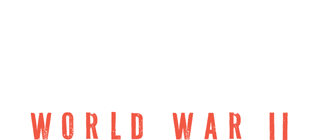 突击：二战 RAID: World War II