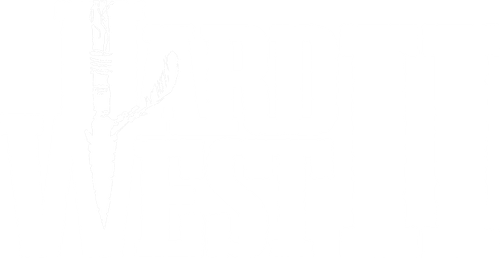 血战西部 2 | Hard West 2 | 好玩