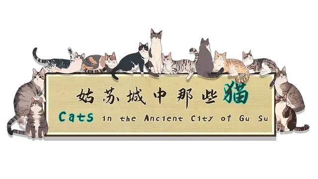 姑苏城中那些猫 | Cats in the Ancient City of Gu Su