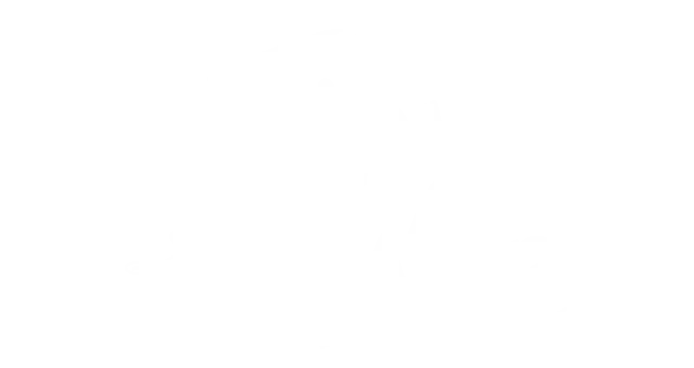 林间小世界 | Tiny Glade